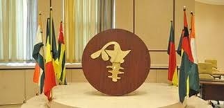 WhatsApp Image 2025-08-20 at 17.57.52