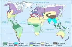 WhatsApp Image 2025-09-04 at 10.34.26