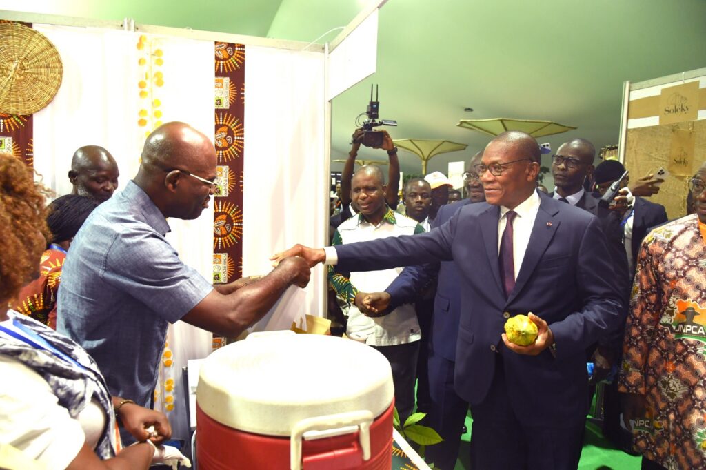 WhatsApp Image 2026-02-16 at 14.14.44